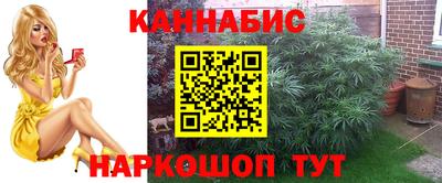 прущие грибы Беслан