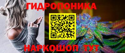 гидропоника Бийск