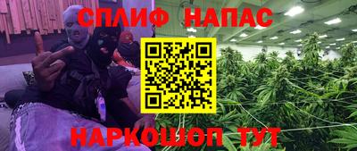 прущие грибы Беслан