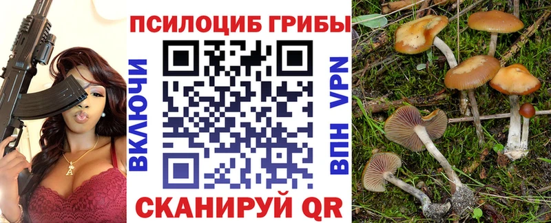 ссылка на мегу как зайти Долгопрудный Псилоцибиновые грибы GOLDEN TEACHER