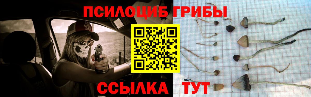 Галлюциногенные грибы прущие грибы  Вход с VPN  что такое   Долгопрудный 